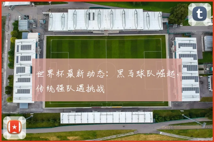 世界杯最新动态：黑马球队崛起，传统强队遇挑战