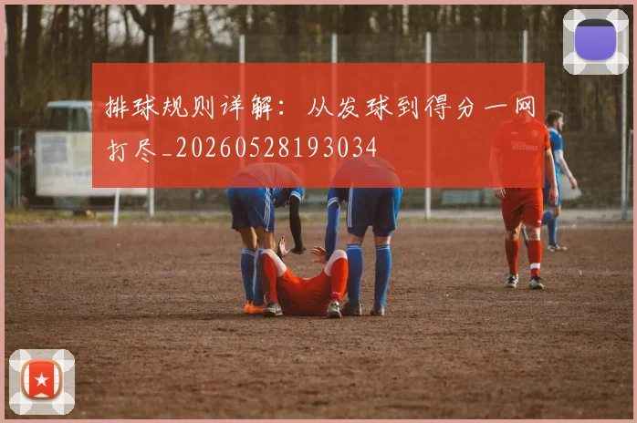 排球规则详解：从发球到得分一网打尽_20260528193034